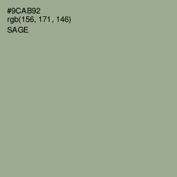 #9CAB92 - Sage Color Image