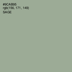 #9CAB95 - Sage Color Image