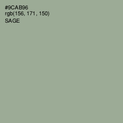 #9CAB96 - Sage Color Image