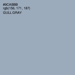 #9CABBB - Gull Gray Color Image