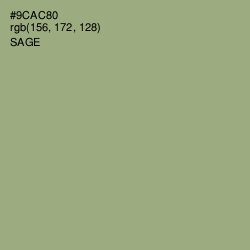 #9CAC80 - Sage Color Image