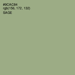 #9CAC84 - Sage Color Image