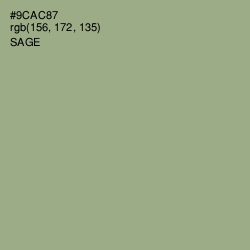 #9CAC87 - Sage Color Image