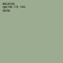 #9CAC90 - Sage Color Image