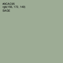 #9CAC95 - Sage Color Image