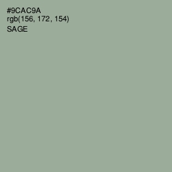 #9CAC9A - Sage Color Image