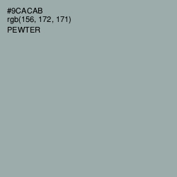 #9CACAB - Pewter Color Image