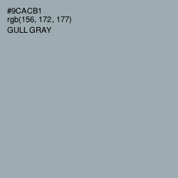 #9CACB1 - Gull Gray Color Image