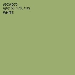 #9CAD70 - Olivine Color Image