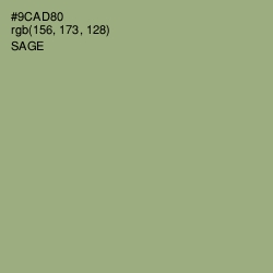 #9CAD80 - Sage Color Image