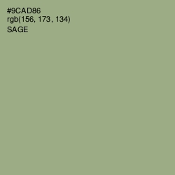 #9CAD86 - Sage Color Image