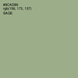 #9CAD89 - Sage Color Image