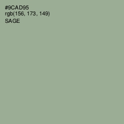 #9CAD95 - Sage Color Image