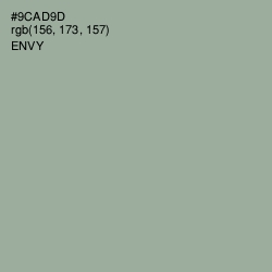 #9CAD9D - Envy Color Image