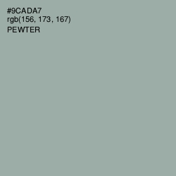 #9CADA7 - Pewter Color Image