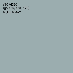 #9CADB0 - Gull Gray Color Image