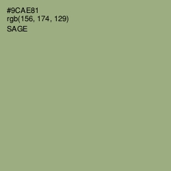 #9CAE81 - Sage Color Image