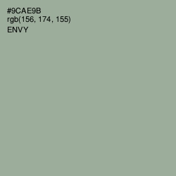 #9CAE9B - Envy Color Image