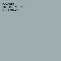 #9CAEB1 - Gull Gray Color Image