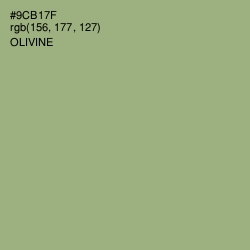 #9CB17F - Olivine Color Image