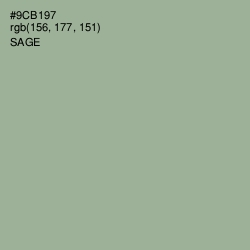 #9CB197 - Sage Color Image