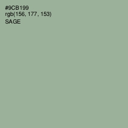 #9CB199 - Sage Color Image