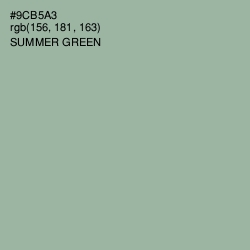#9CB5A3 - Summer Green Color Image