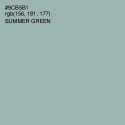 #9CB5B1 - Summer Green Color Image