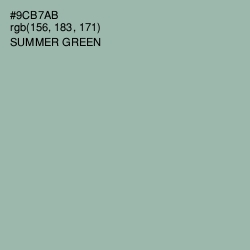 #9CB7AB - Summer Green Color Image