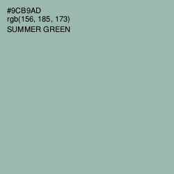 #9CB9AD - Summer Green Color Image