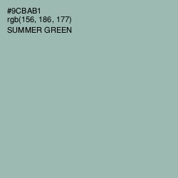 #9CBAB1 - Summer Green Color Image