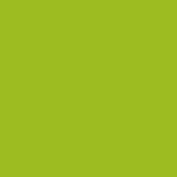 #9CBC23 - Sushi Color Image