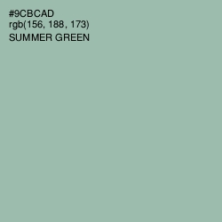 #9CBCAD - Summer Green Color Image