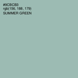 #9CBCB3 - Summer Green Color Image