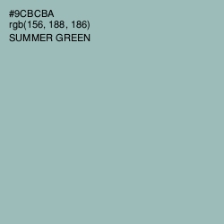 #9CBCBA - Summer Green Color Image