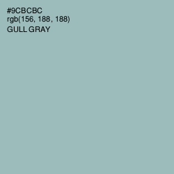#9CBCBC - Gull Gray Color Image