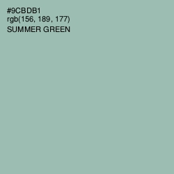 #9CBDB1 - Summer Green Color Image