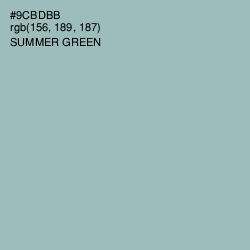 #9CBDBB - Summer Green Color Image