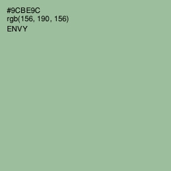 #9CBE9C - Envy Color Image