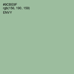 #9CBE9F - Envy Color Image