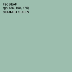 #9CBEAF - Summer Green Color Image