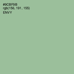 #9CBF9B - Envy Color Image