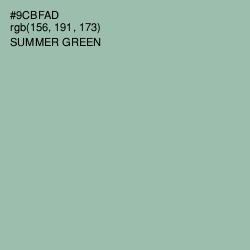 #9CBFAD - Summer Green Color Image