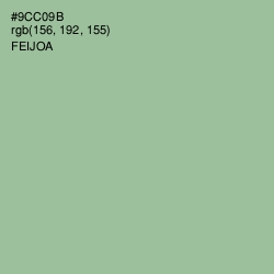 #9CC09B - Feijoa Color Image