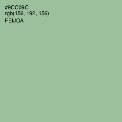 #9CC09C - Feijoa Color Image