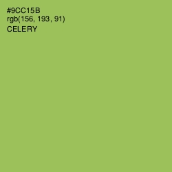 #9CC15B - Celery Color Image