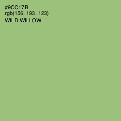 #9CC17B - Wild Willow Color Image