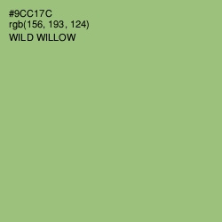 #9CC17C - Wild Willow Color Image