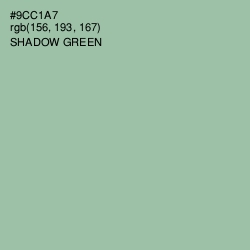 #9CC1A7 - Shadow Green Color Image