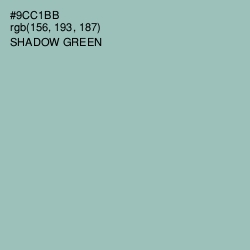 #9CC1BB - Shadow Green Color Image